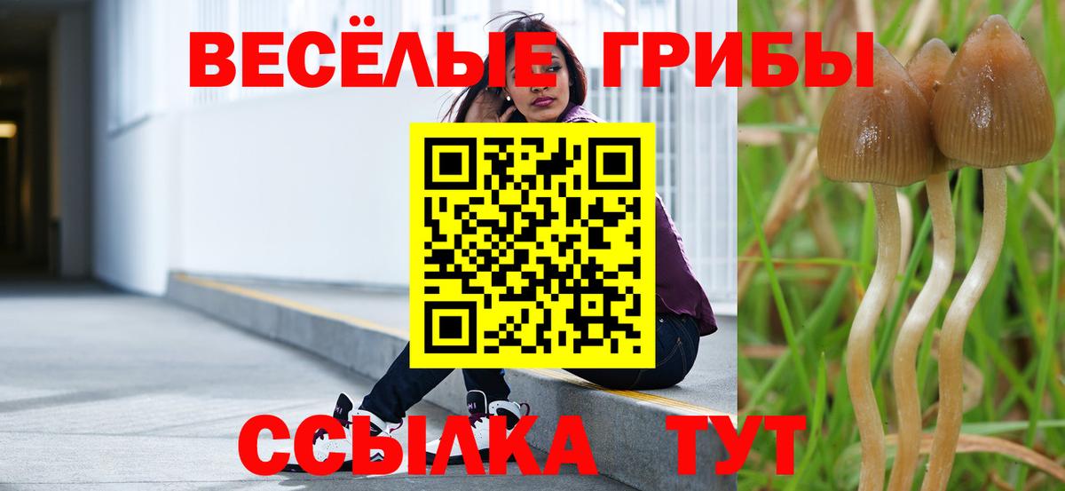 где купить наркоту  Вход с VPN  Звенигород  Псилоцибиновые грибы мухоморы  Галлюциногенные грибы мухоморы 